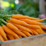 Honey Glazed Baby Carrots