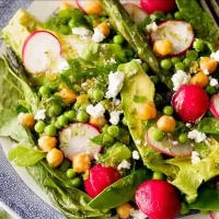 Spring Garden Salad: Fresh and Delicious for Your Table Spring Garden Salad with Fresh Vegetables